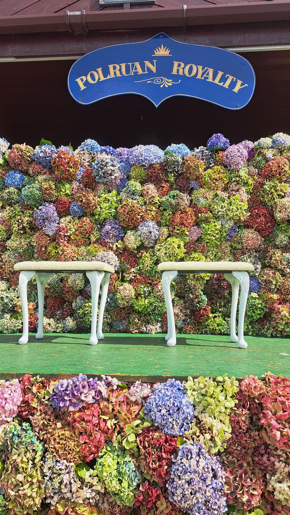 Flower-covered Polruan Royalty stage prepared for the 2026 ceremony